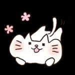 しろねこ♡まるのシンプルな日常挨拶