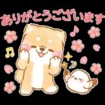 シマエナガといやしばいぬ❤️春/柴犬敬語