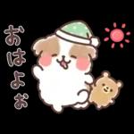 ふわふわシーズー 3歳児