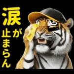 大阪神戸の野球好き虎ファン向け5とらほー