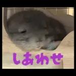 ふらんねるスタンプ【日常】