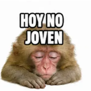 HOY NO JOVEN - getsticker.com