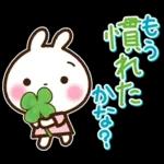 うさぎさん 春・梅雨・初夏