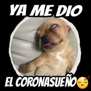 YA ME DIO EL CORONASUEÑO - getsticker.com