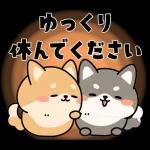 飛び出す！シバイヌの日常敬語スタンプ