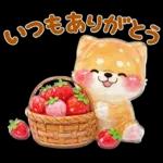 ぷくつやシール春❤️いやしばいぬ❤️犬敬語