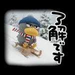 目ヂカラ強め☆ずんぐりなハシビロコウ②