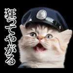 リアル猫警察官
