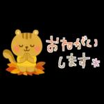 大人かわいい✳︎優しい秋色&気遣い