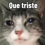 Que triste