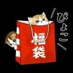 あけおめにゃん午