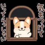 Pop-Up! Corgi's Spring Reply Sticker