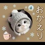 スコティッシュ猫 可愛いグレーニット 冬