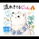 夏ギャルなサモエドスタンプ