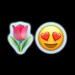 Te Quiero Te Adoro Te Amoo