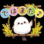 春のシマエナガ♪