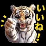 大阪神戸の野球好き虎ファン向け5とらほー