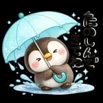 ぺんちゃんと梅雨じかん