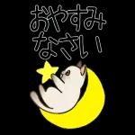 病院へ行くはぴきゃと！体調不良な毎日用