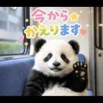 飛び出す♡パンダの家族連絡