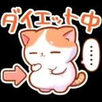 毎日♡猫ちゃんず【連絡・今何してる？】
