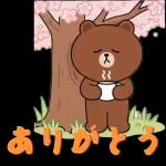 ぽかぽかくまさんの春