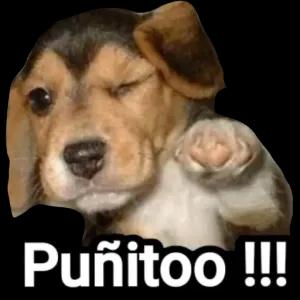 Punitoo !!! - getsticker.com