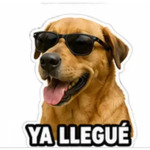 YA LLEGUE - getsticker.com