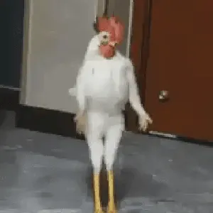 zhV8yy