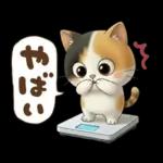 三毛猫の冬のあいさつ