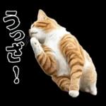 生成失敗猫【毒舌・煽り・煽る・シュール】