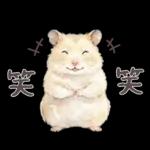 ゴールデンハムスター♡キンクマ