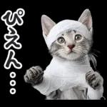 リアルな子猫ミーム（秋ハロウィン）