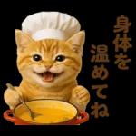 秋のネコたちにゃんだふる♡