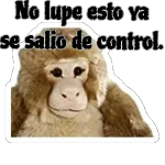 bien perris