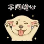 小拉拉 實用日常