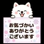 そっと寄りそうサモエド