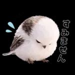 とってもかわいい♡シマエナガちゃん