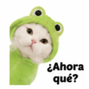 ¿Ahora qué? - getsticker.com