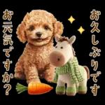 午年2026年！プードルとうまの年末年始