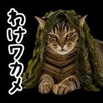 キジトラ猫飼いさんのダジャレ