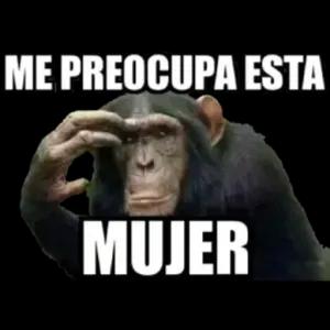 ME PREOCUPA ESTA MUJER - getsticker.com