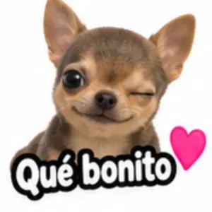 Qué bonito - getsticker.com