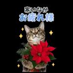 毎年使える♪リアルなにゃんこの年末年始