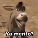 Ya merito?
