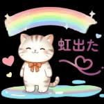 にゃんこたちの梅雨だより