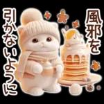 冬の猫のスコティッシュ【よく使う言葉】