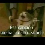 Este usuario está enfermo