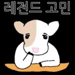 호기심 많은 소