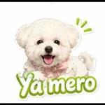 Puro Amor Tú y Yo